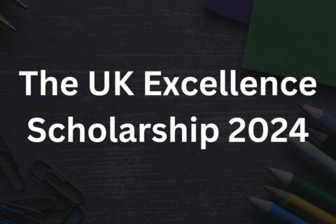 The UK Excellence Scholarship 2024