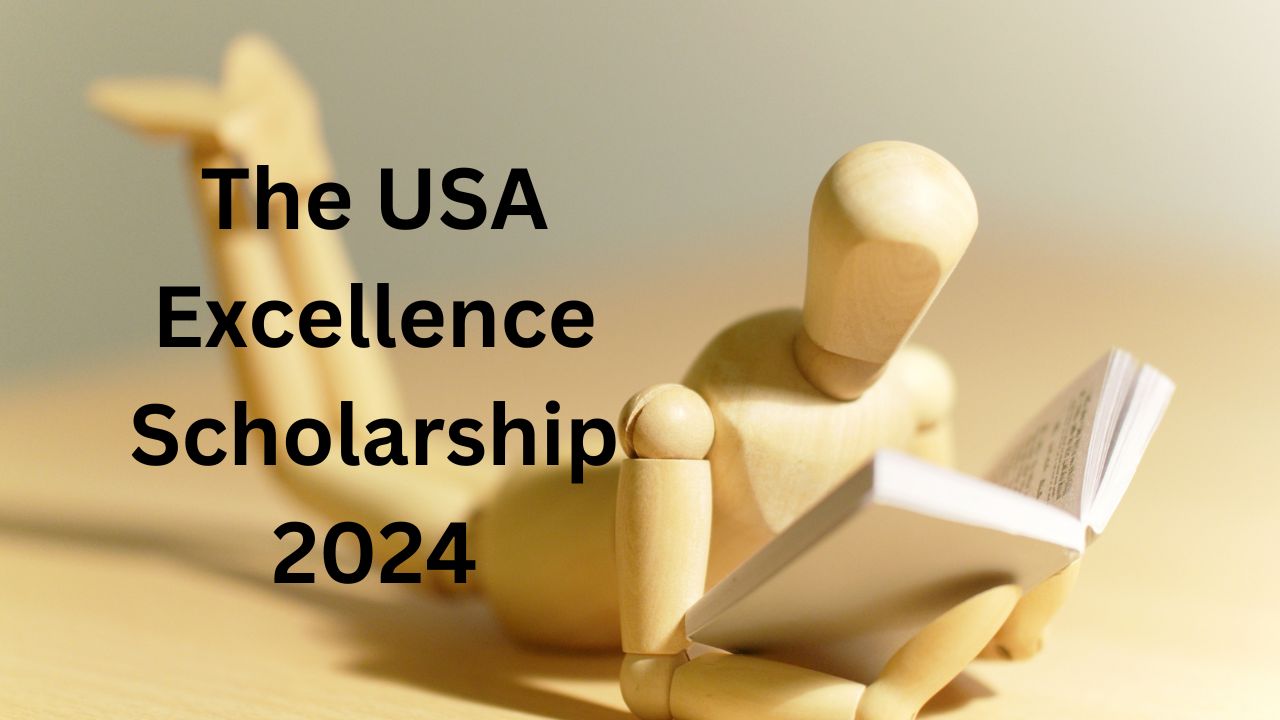 The Ireland Excellence Scholarship 2024