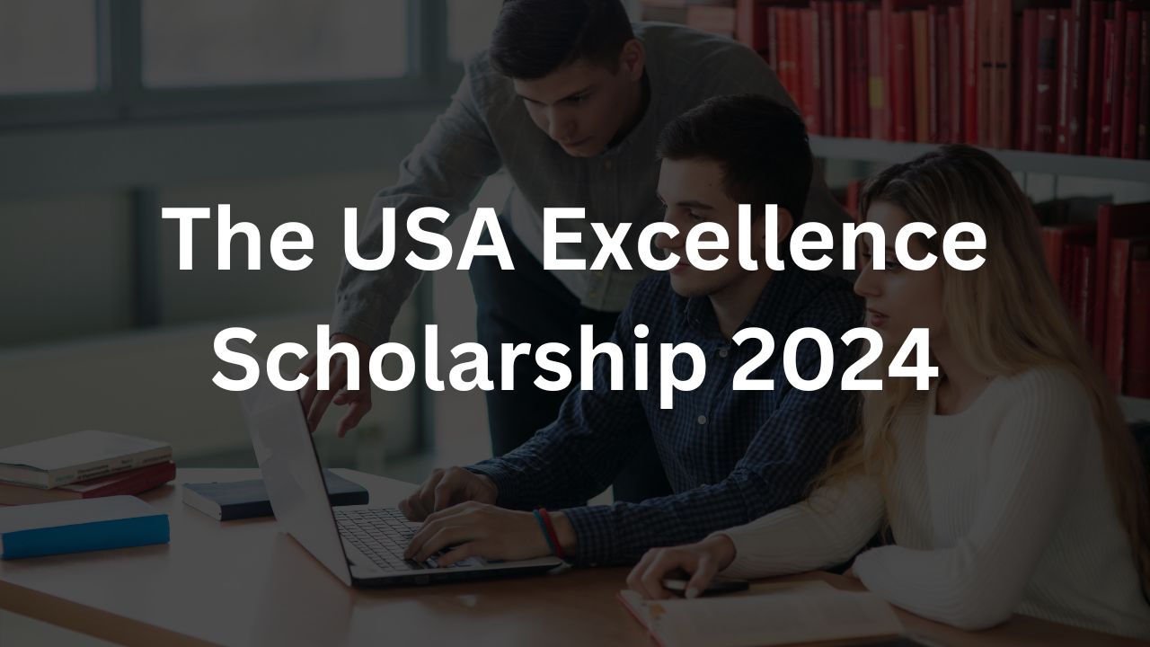 The USA Excellence Scholarship 2024